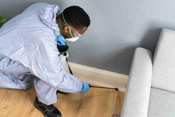 Trusted Peoria, IL Pest control Experts